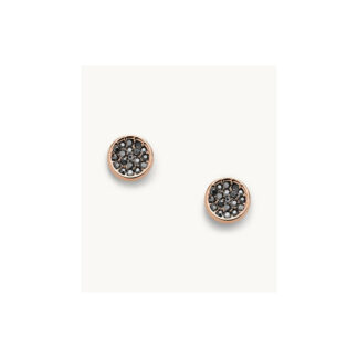 Fossil JOA00530791