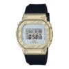 GM-S5600BC-1