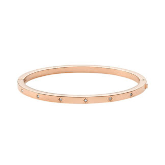 Fossil JF04394791