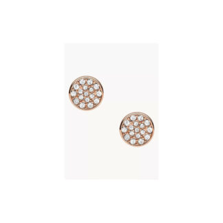 Fossil JOA00281791
