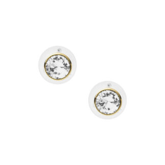 Fossil JOA00668710