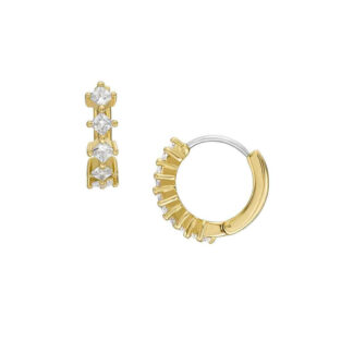Fossil JOA00819710