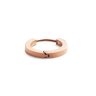 Daniel Wellington DW00400862 Micro Hoop Earring