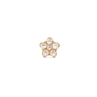 Daniel Wellington DW00400864 Micro Crystal Star Earring