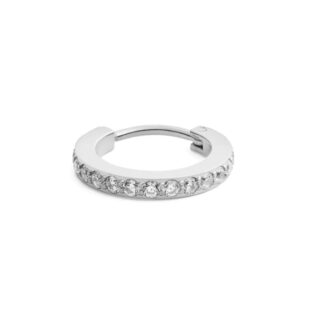 Daniel Wellington DW00400881 Micro Crystal Hoop Earring